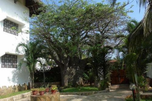 Hotel Forentum House