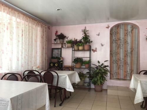 Hostal Family Guest House