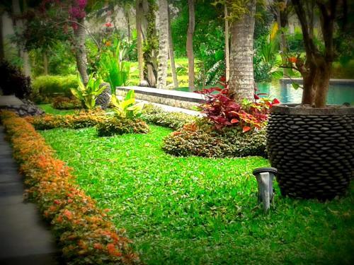 Villa Junjungan Resort Pool & Spa