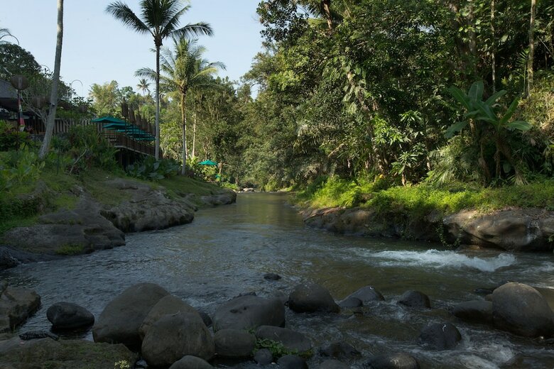 Hotel The Samaya Ubud