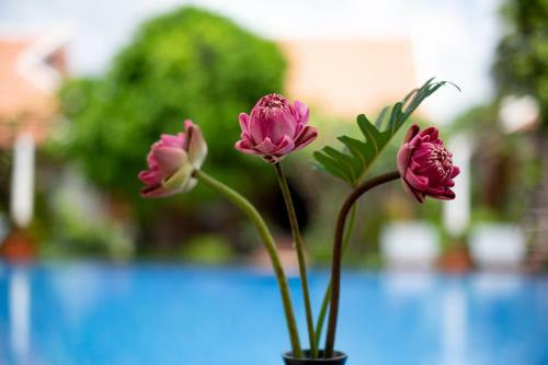 Hotel Angkor Privilege Resort & Spa