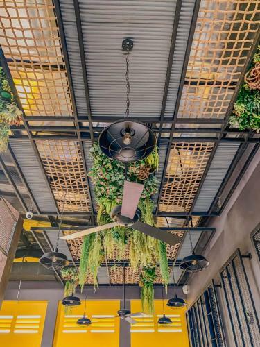 The Twizt - Lifestyle Hostel