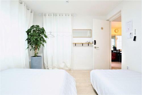 Hostal Zibro Y