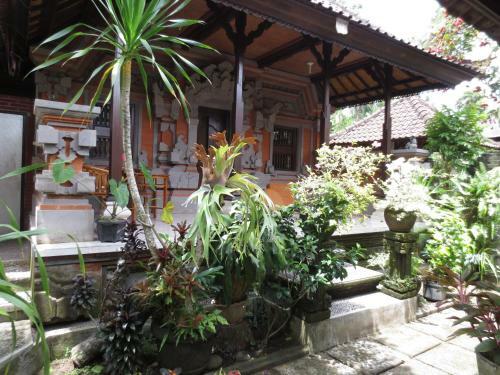 Hostal Dani Home Stay