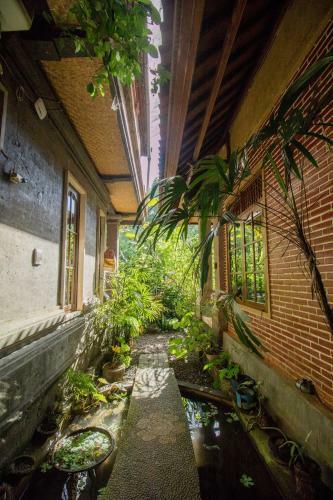 Hostal Bali Asli Lodge By Eps