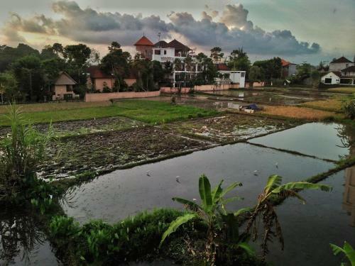 Hostal Nuriani Restaurant And Rooms