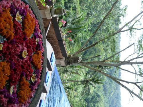 Hostal Green Spirit Villa