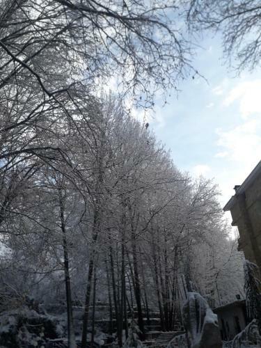 Tamerland Hotel-faraya