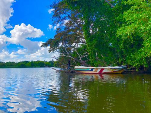 Hostal Wilpattu Green Cabin