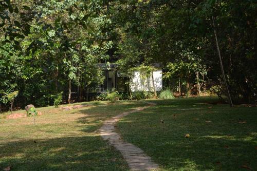 Shadow Grove Camping & Cabins Kitulgala