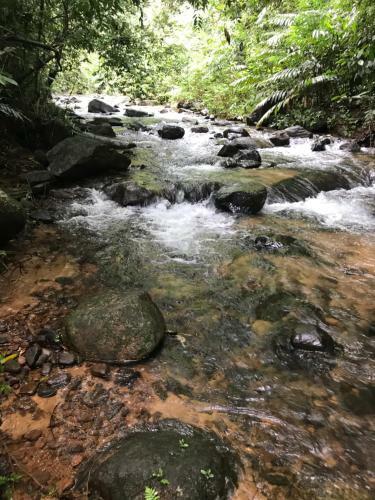 Shadow Grove Camping & Cabins Kitulgala