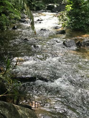 Shadow Grove Camping & Cabins Kitulgala
