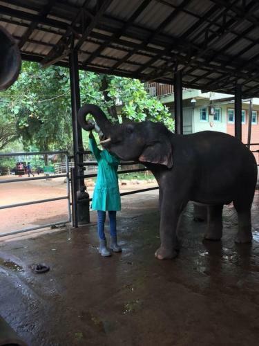 Explore Central Srilanka