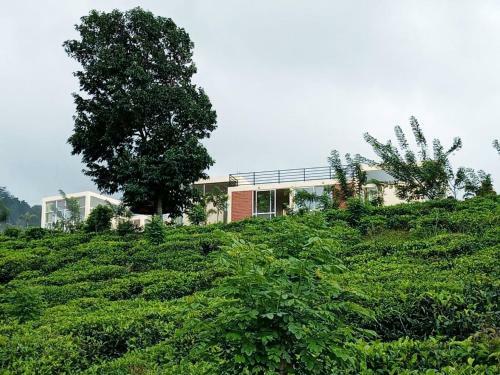 Hotel Nelinsa Resort And Spa