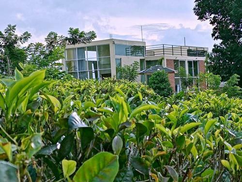 Hotel Nelinsa Resort And Spa