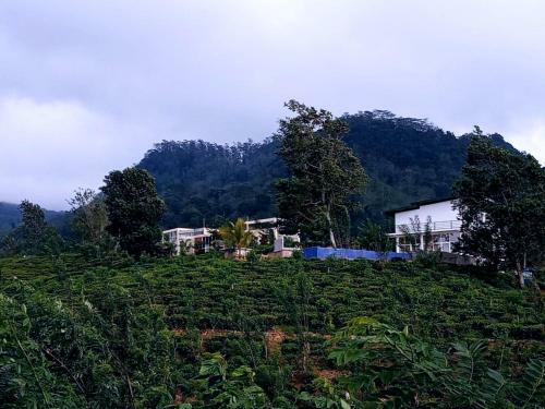 Hotel Nelinsa Resort And Spa