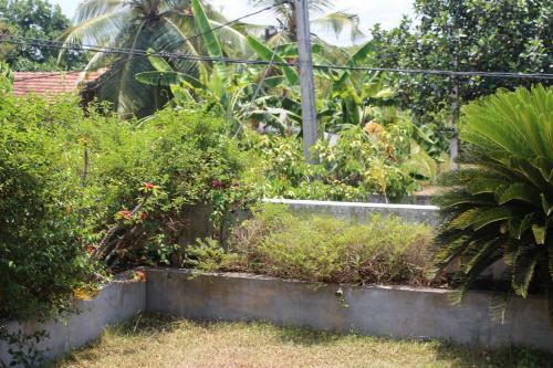 Bed & Breakfast Bird's Nest By Natures Bliss