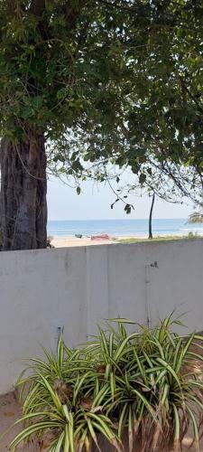 Hotel Ocean Palms Beach Resort