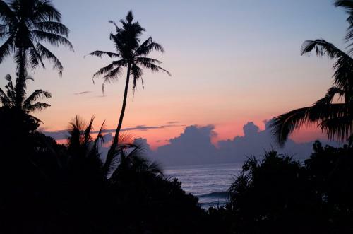 Hotel New Ocean Vibes