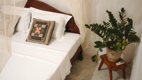 Bed & Breakfast Aloha Villa