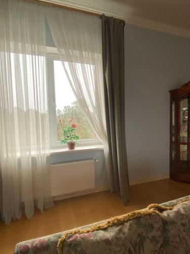 Apartamento ??????????? ? 100 ?????? ?? ????