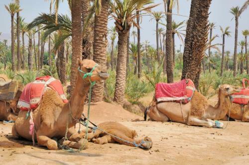 Riad Kech Soul Boutique & Spa