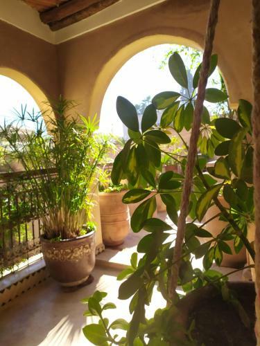 Riad Blossom
