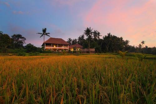 Hostal Frangipani Villas