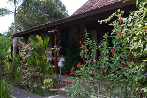 Hostal Rumah Sungai Villa