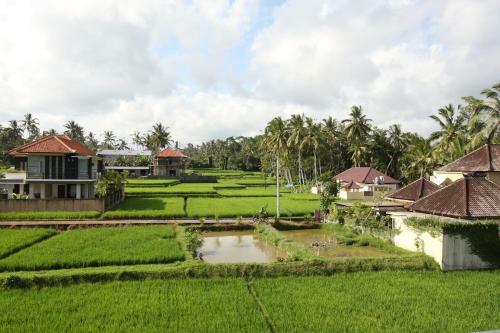 Hostal Swarapadi Villa