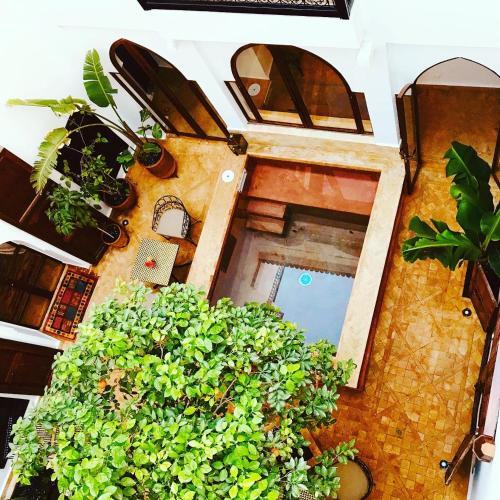 Bed & Breakfast Le Patio Secret Marrakech