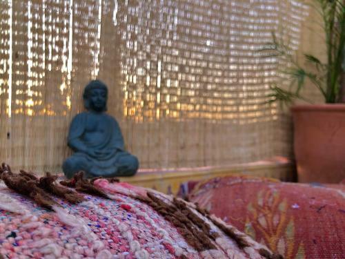 Riad Palm 30
