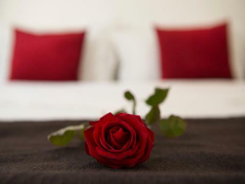 Hostal Room In Bb - Suite Kalifa In Luxurious Riad - Marrakech Spa And Massage