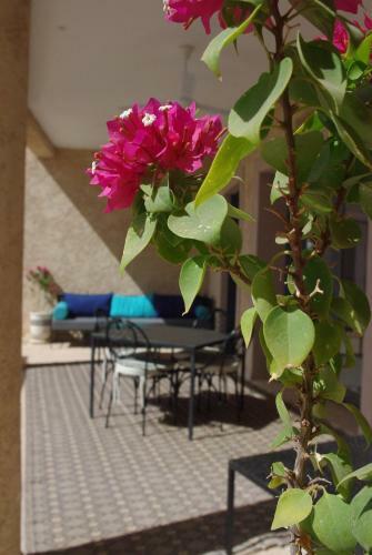 Hostal Le Jasmin De Marrakech