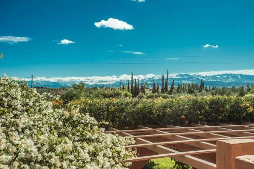 Villa Les Oliviers - A Setting Of Tranquility
