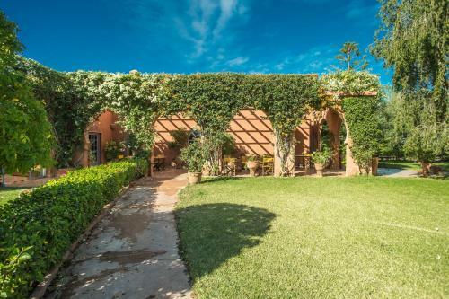 Villa Les Oliviers - A Setting Of Tranquility