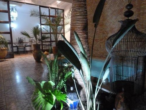Hostal Riad Safina