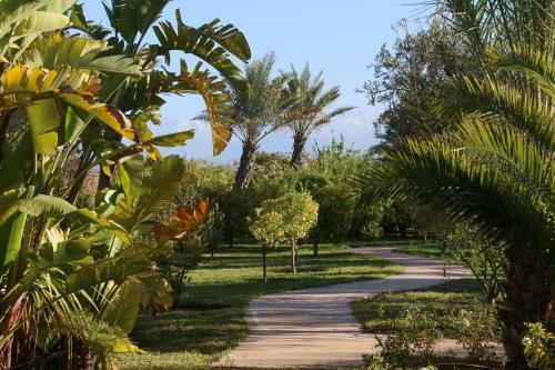 Hostal Marrakech Retreat By La Siredrah