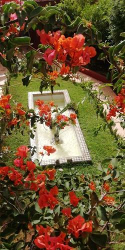 Riad Terracota