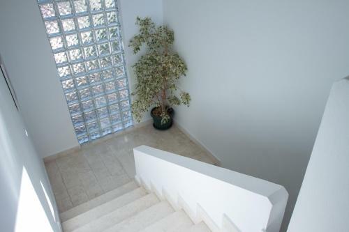 Villa Olive Garden