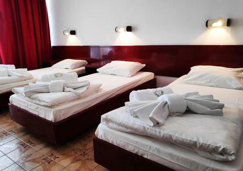Hotel Zlatibor