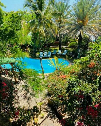 Hotel Hyppocampo