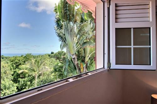 Villa M�rit�e : 3 Ch, V�g�tation Luxuriante Et Grande Piscine