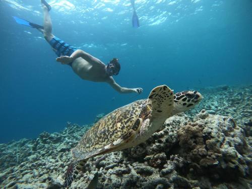 Hotel Hudhuvelimaldives