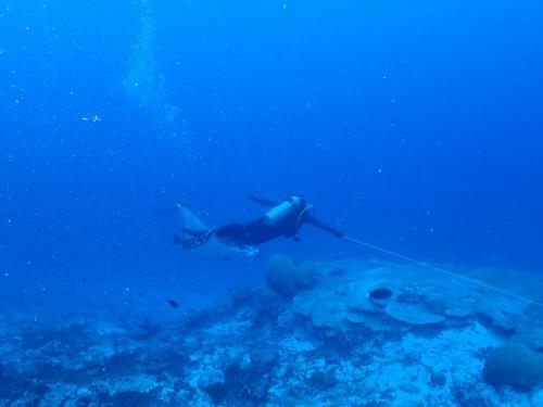 Hostal 3s Divers Home