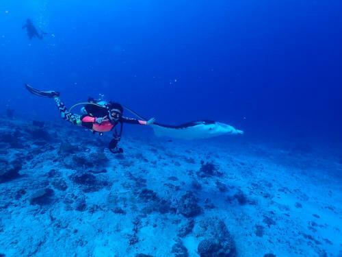 Hostal 3s Divers Home