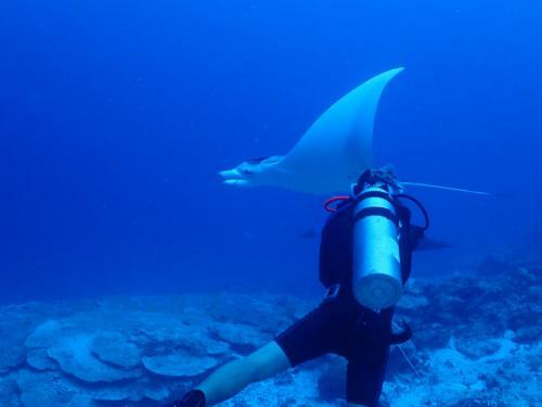 Hostal 3s Divers Home