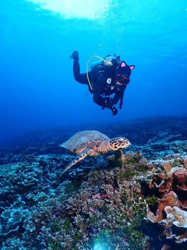 Hostal 3s Divers Home