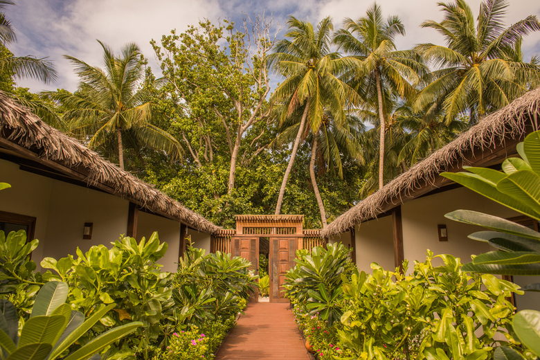 Hostal Plumeria Maldives