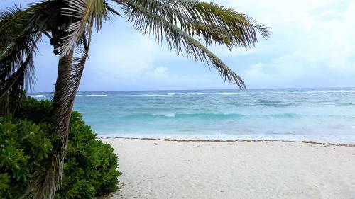 Apartamento Riviera Maya Luxury Oceanfront Condo